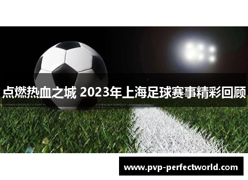 点燃热血之城 2023年上海足球赛事精彩回顾