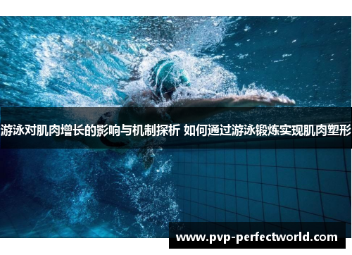 游泳对肌肉增长的影响与机制探析 如何通过游泳锻炼实现肌肉塑形